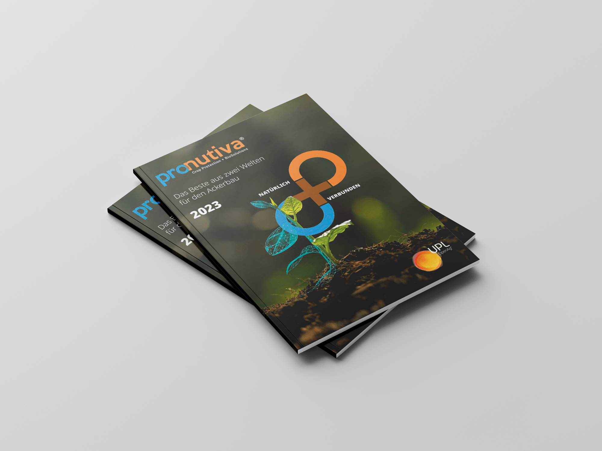 Agrarmarketingpreis_DEZEMBER
